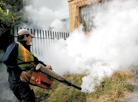 Se expandió con rápidez en el Caribe; la transmite el mosquito portador del dengue, por lo que fumigan.