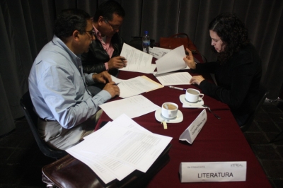 Los proyects fueron analizados por una terna conformada por artistas.