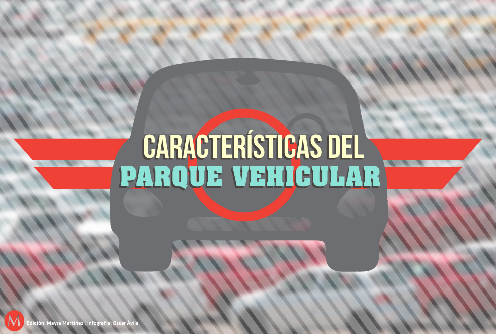 Características del parque vehicular