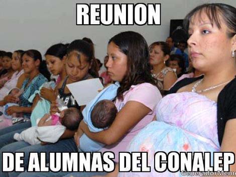 Memes Conalep 