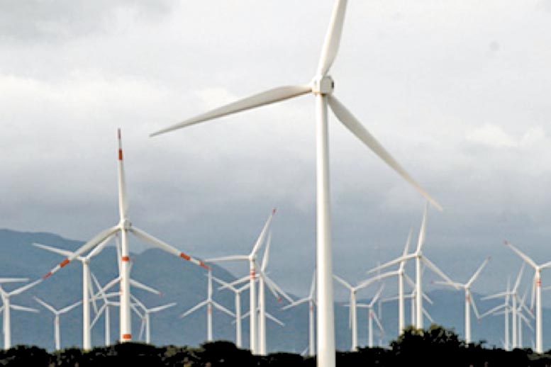 Parques eólicos dotarán de energía renovable a Femsa, Deacero, Tec y Cemex.