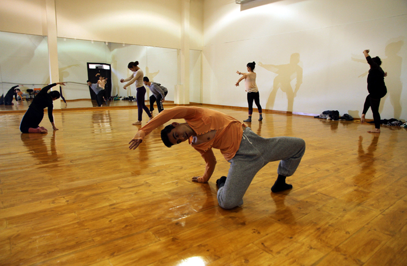 Profesionalización de la danza contemporánea. 