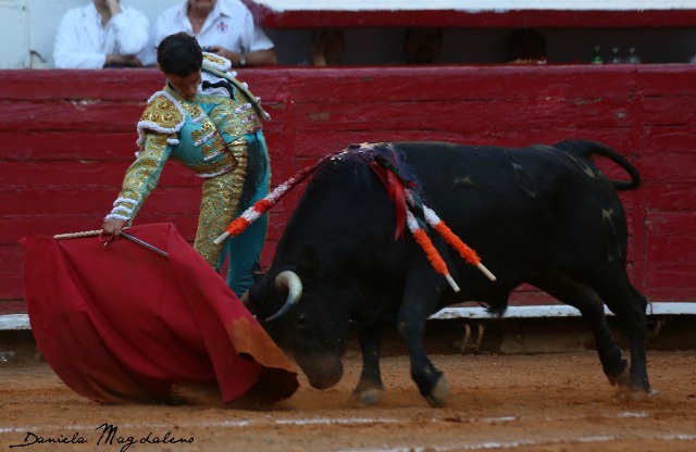 Corrida en la Plaza de Toros México
