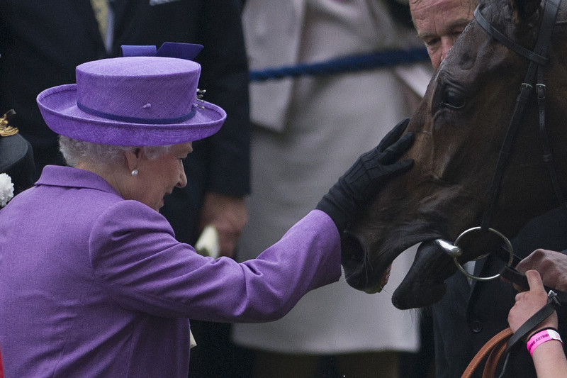 La reina Isabell acaricia a Estimate tras ganar la Copa de Oro en el Royal Ascot, en Londres, el año pasado.