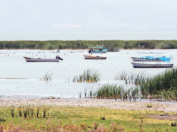 El cambio climático podría traer un alza del calor de dos o tres grados en las siguientes décadas.