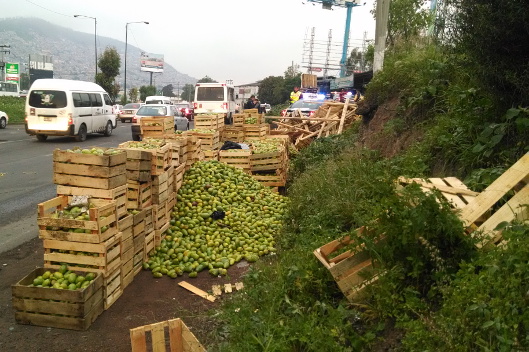 Las tunas quedaron a un costado de la carretera. 