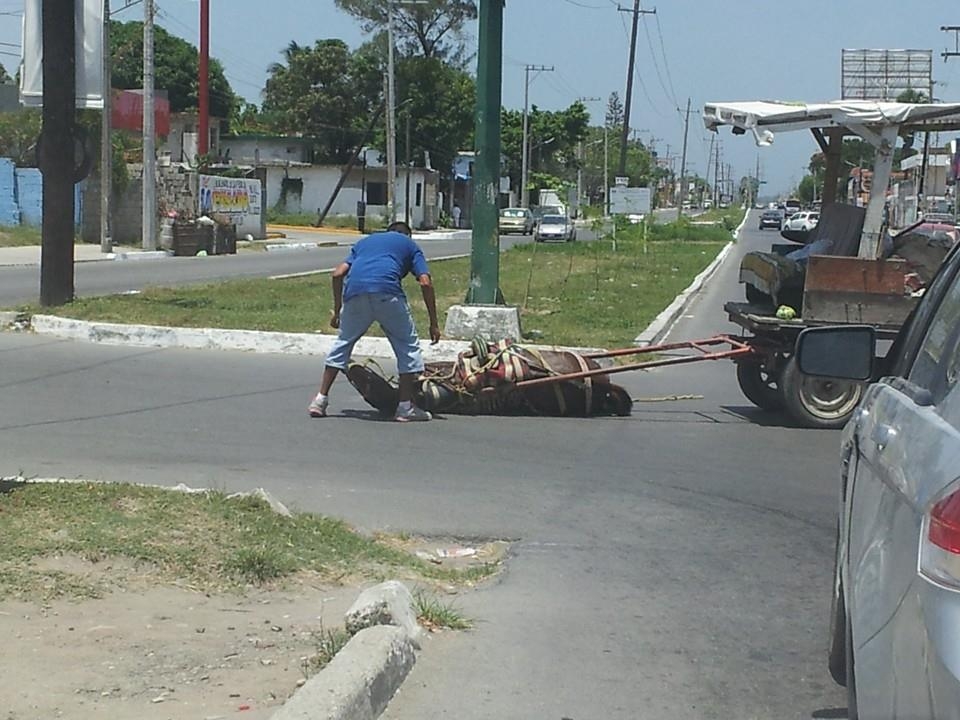 Caballo se desploma en Ciudad Madero 