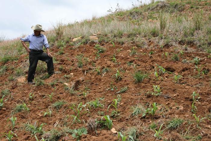 Piden campesinos participar en reforma al campo 