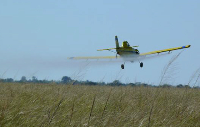 La avioneta continuó su labora de fumigación de las parcelas.