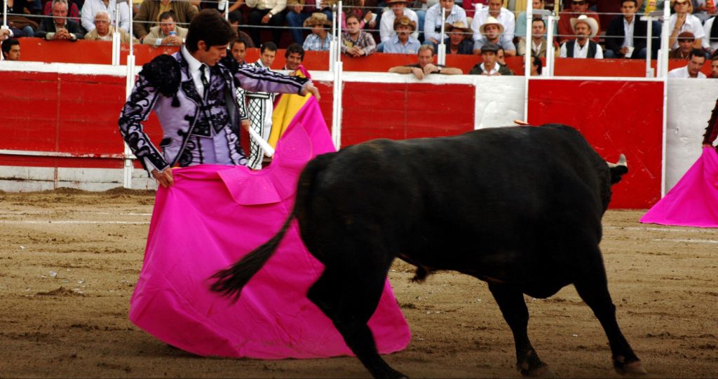 El 3 de mayo de 2013, el Congreso de Sonora promulgó la Ley de Protección de Animales, que prohíbe otorgar permisos, licencias y cualquier tipo de aut