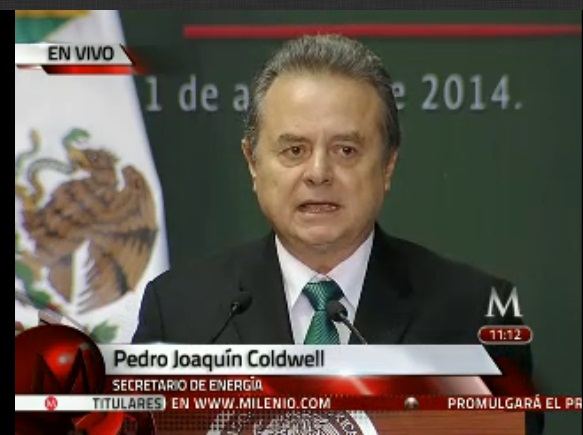 El secretario de Energía, Pedro Joaquín Coldwell durante la promulgación de las leyes secundarias. 