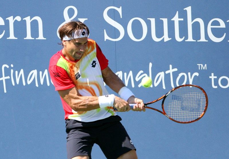 David Ferrer 