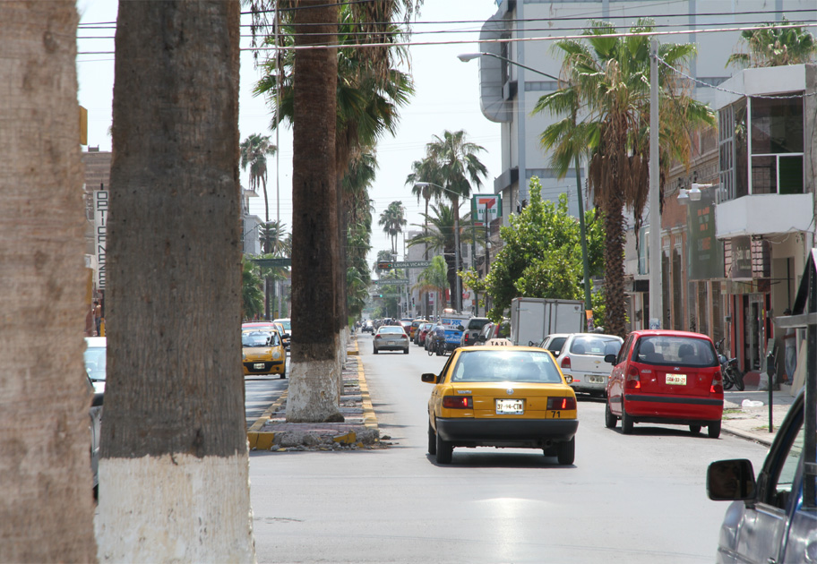 El objetivo general del programa es incrementar la cobertura vegetal de Torreón.