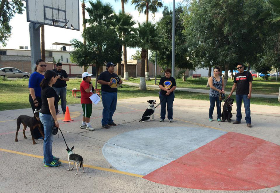 Aprende a convivir con tu mascota
