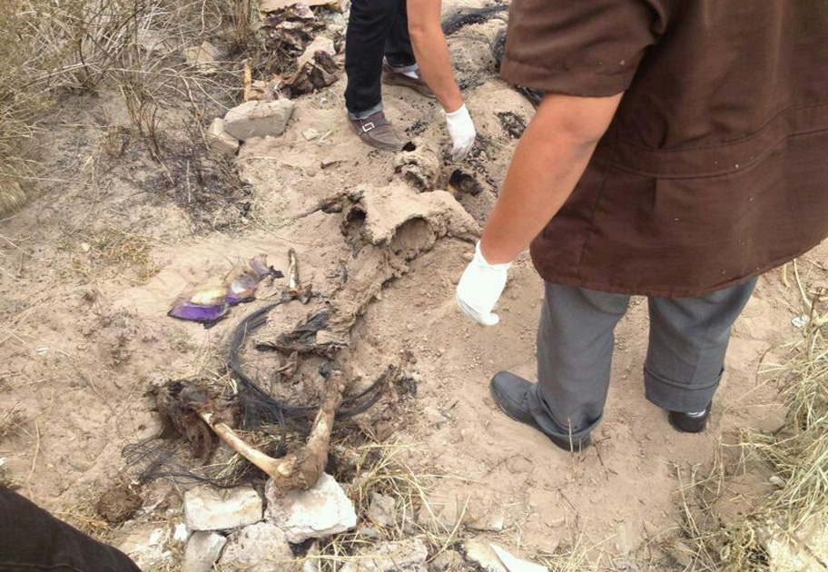 El cadáver fue desenterrado para luego trasladarlo a las instalaciones del Semefo de Torreón.