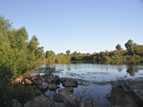 El pasado 7 de agosto la mina de Cananea derramó químicos en el Río Sonora.