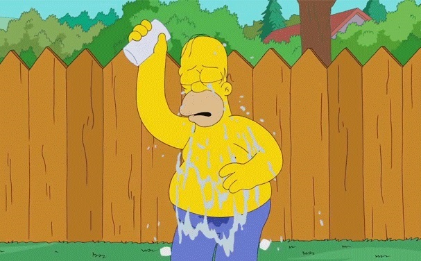 “Ay, que era frío, brrr ... pero valió la pena para aumentar la conciencia para la ELA", dijo Homero Simpson.