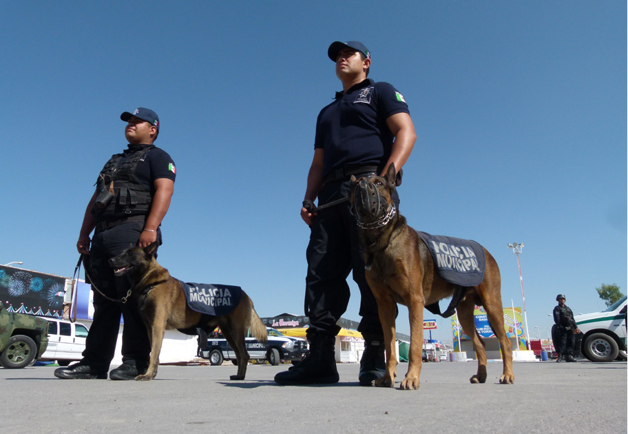 El escuadrón canino olfateó los locales comerciales, las bardas perimetrales, los juegos mecánicos.
