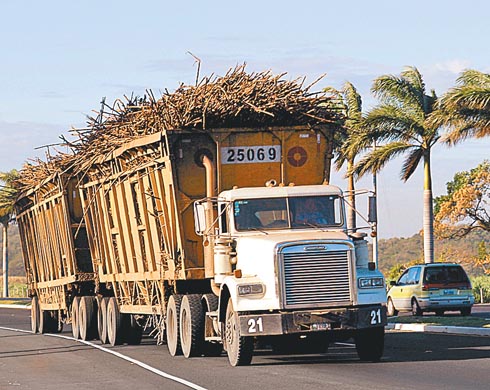 Diálogo permanente con los productores nacionales, confirma la SE. 