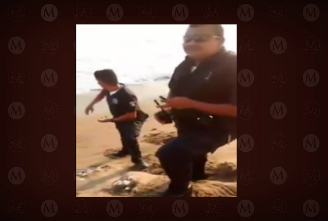 Los policías fueron sorprendidos mientras arrojaban huevos de tortuga al mar de una especie protegida.