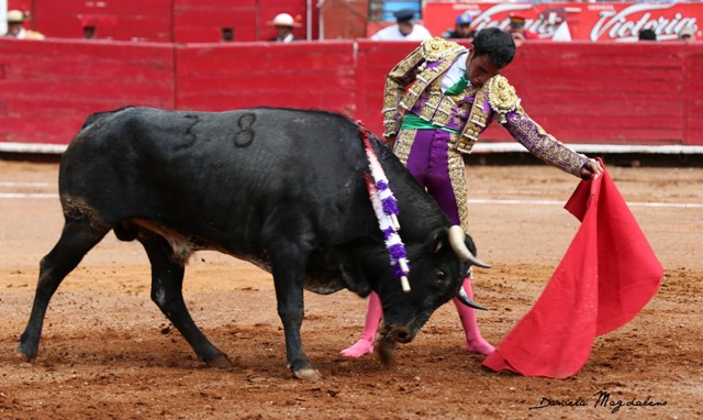 Édgar Badillo, torero