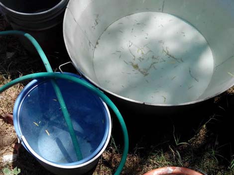 Los pobladores de Cadereyta no utilizan el agua del afluente.
