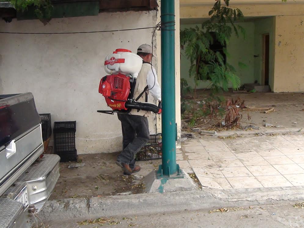 Se refuerzan las labores de fumigación.