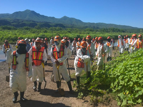 las brigadas siguen con la limpieza en la zona.