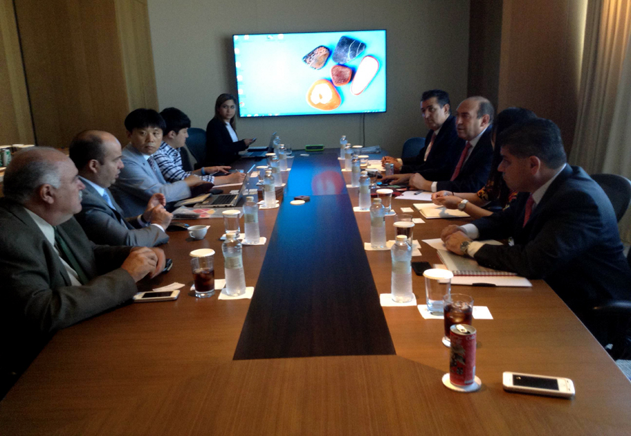Reunión con empresa coreana. 
