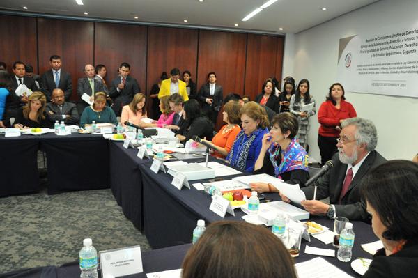 Las comisiones unidas del Senado aprobaron en lo general de manera unánime el dictamen de la iniciativa preferente.