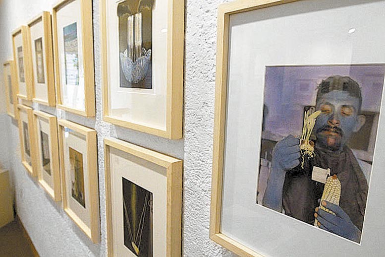 Son exhibidas 42 imágenes.