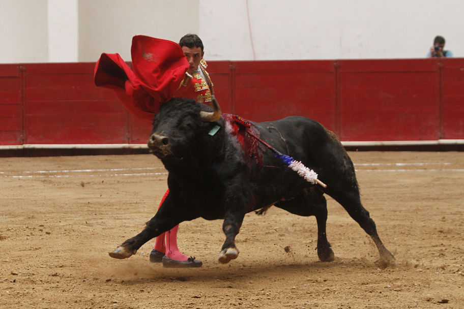 Corrida Mixta Covadonga 2014 en el Coliseo Centenario