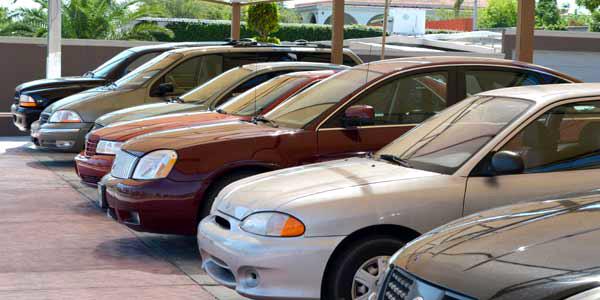 Aseguran que con decomisos subió la demandan 40%.