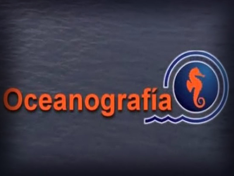 Se estima que el  pasivo de Oceanografía es de 15 mil 054 millones de pesos: Ifecom 
