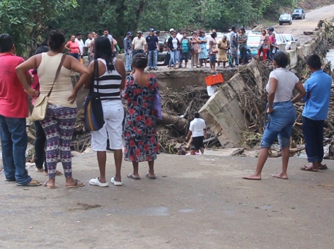 La tormenta 'Trudy' provocó inundaciones y la caída de árboles 