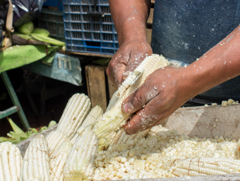 El Gobierno del Distrito Federal pretende la seguridad alimentaria para los capitalinos, mediante su Programa Sectorial de Desarrollo Agropecuario y R