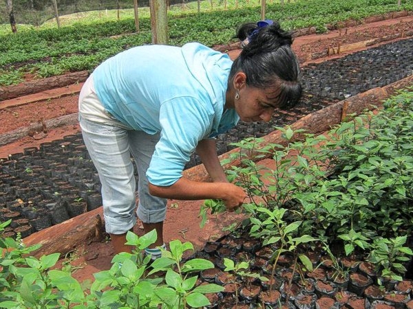 "Sembrando el Futuro de México: Mujeres Rurales Trabajando" 