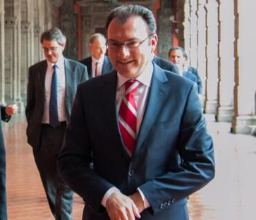Luis Videgaray Caso, secretario de Hacienda y Crédito Público.