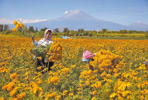 La venta al mayoreo se cotiza en 2 mil 300 pesos.