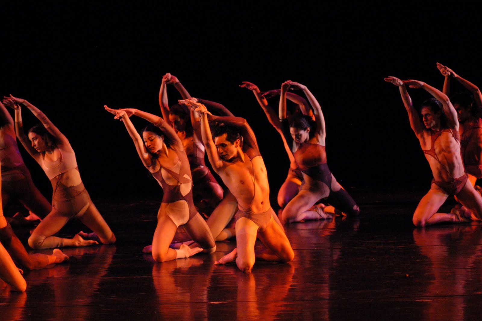 Integrantes del taller coreográfico de la UNAM.