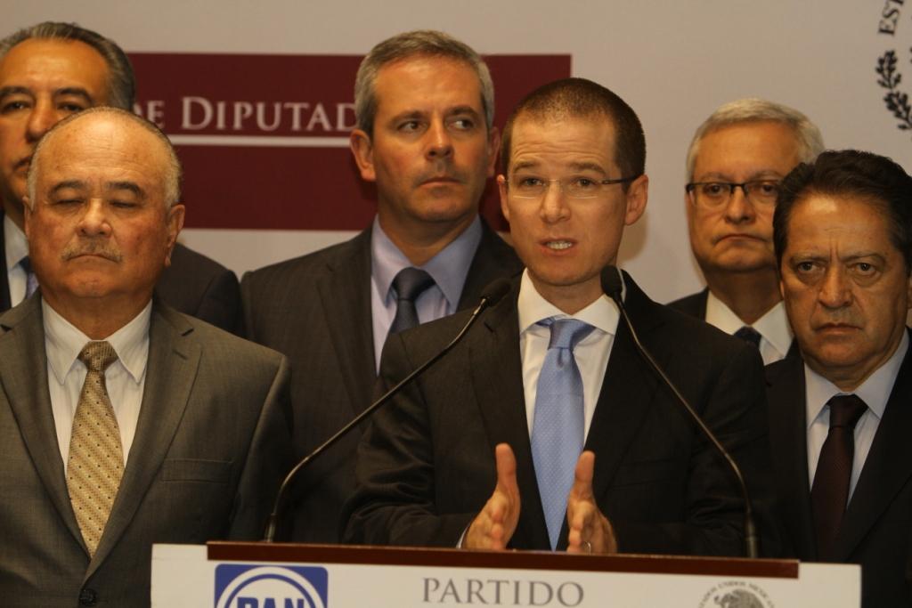 Acompañado de diputados y senadores el presidente del PAN dio a conocer su proyecto 