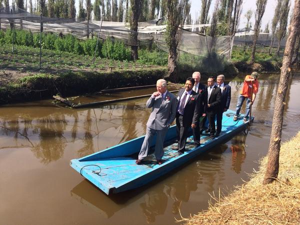 Los agricultores realizaron una demostración al príncipe inglés sobre este método único en el mundo y los productos que se obtienen de la zona chinamp