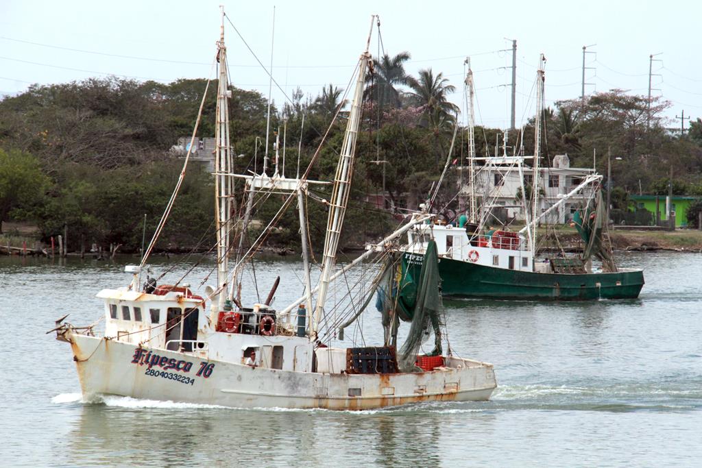 Ha dejado de ser negocio la captura de camarón, jaiba y peces.
