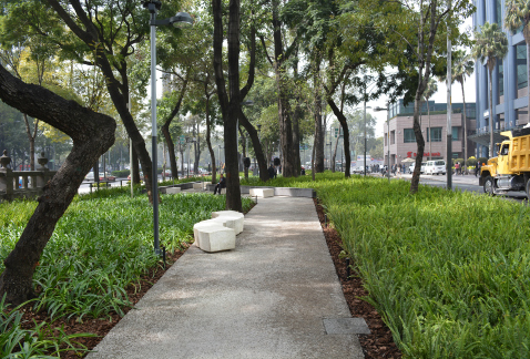 La Secretaría de Desarrollo Urbano y Vivienda convoca a los ciudadanos a adoptar las áreas verdes de la Ciudad de México, es decir, a cuidarlas y cons