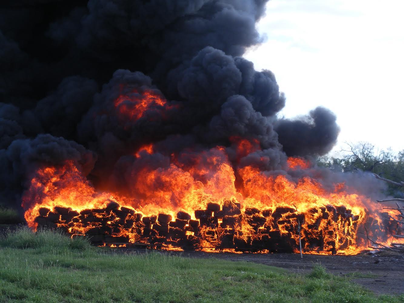 Se incineró 19 toneladas 941 gramos 900 miligramos de mariguana y dos kilos de semilla del mismo enervante.