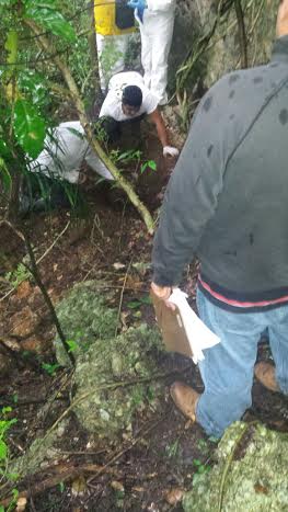 Asesinó a su pareja