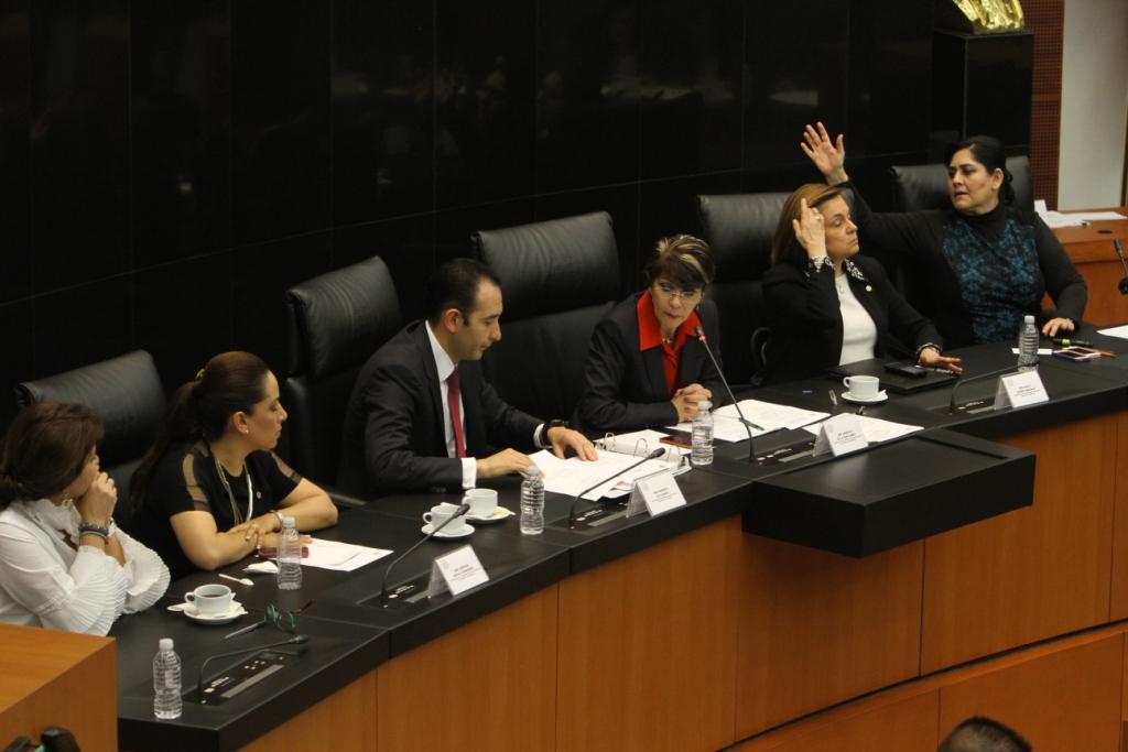 Senadores aprobaron a Luis Raúl González Pérez para encabezar la terna para presidir la CNDH