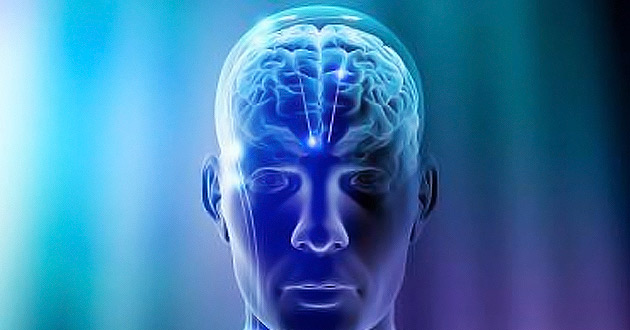 "Las representaciones mentales creadas en el cerebro de un niño muy pequeño por el aprendizaje de una lengua pueden persistir en la edad adulta a pesa
