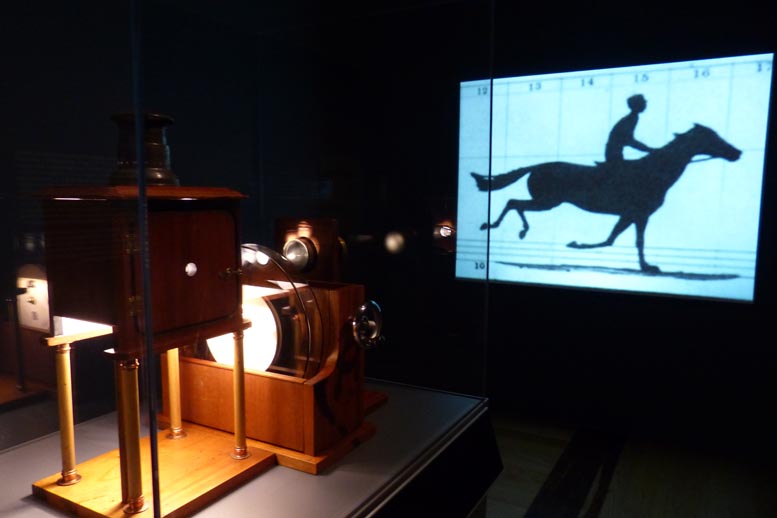 La exposición estará disponible hasta el 1 de marzo del 2015.