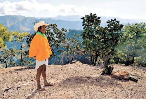 Arnulfo Quimare ha ganado ultramaratones y es reconocido en Europa; su sueño, comprar una 'troquita'.